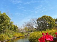 -上海滨江森林公园