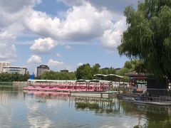 -莲花池公园