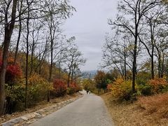 -北京西山国家森林公园