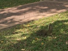 -深圳龙潭公园