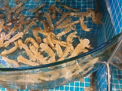 -蓝珊甄选海鲜自助·火锅大排档(近阿那亚店)