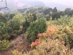 -同和居(什刹海店)