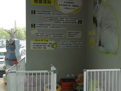 -上海浦东smart汽车全功能店(金桥店)