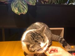 -IFIF 如果花園(宽厚里店)