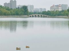 -迎泽公园