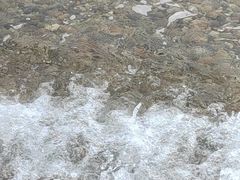 -棒棰岛宾馆景区