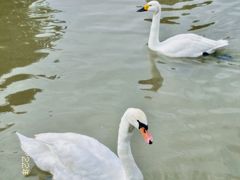 -宁波杭州湾国家湿地公园