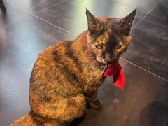 -EATALIA意塔利意式餐厅(鼓楼店)