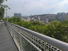 -佛山华盖山公园