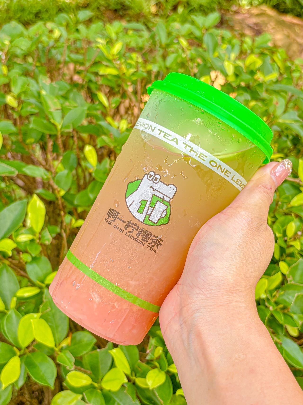 谁还没喝过啊一它家水蜜桃柠檬茶?真的会谢!