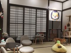 -逗柴咖啡屋·狗咖猫咖宠物桌游