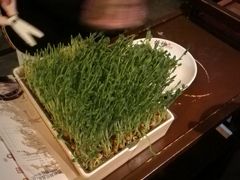 有机豆苗-捞神煲汤火锅(湖滨商业街店)