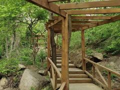 -大岭沟猕猴桃谷风景区