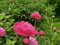 -宝鸡植物园