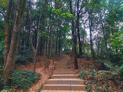 -广州市白云山风景名胜区