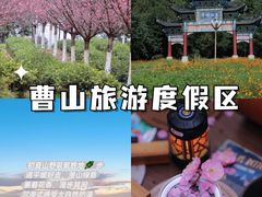 -紫藤园·天目湖大鱼头(南山竹海店)