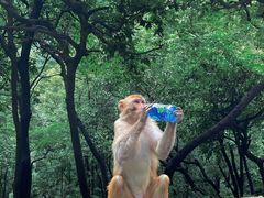 -黔灵山公园