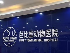-芭比堂动物医院·24小时·眼科中心(深圳中心)