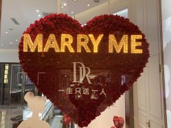 -DR钻戒(杭州星光大道店)