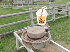 -嬉乐湾休闲旅游区