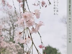 -西安青龙寺遗址景区