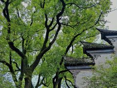 -天一阁博物院