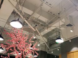 -时尚殿堂明星门店