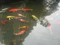 -极乐汇汗蒸会馆(杭州店)