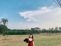 -盘龙城国家考古遗址公园