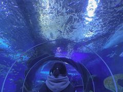 -多彩贵州城极地海洋世界