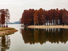 -四明湖