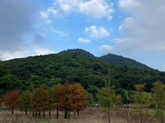 -清溪大王山森林公园