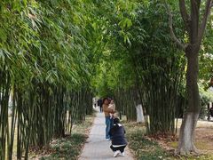 -堤角公园