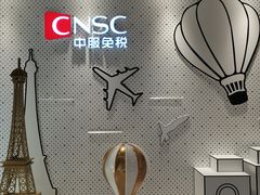 -国药中服免税(北京坊店)