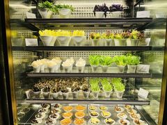 -半岛翡丽海鲜自助餐厅(观风亭店)