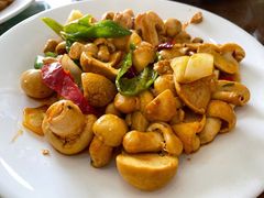 黄蘑菇炒肉-杨家饭馆(八宝店)