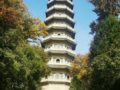 -灵谷景区