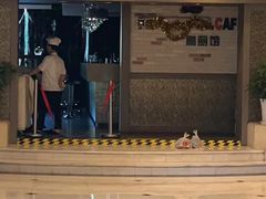 -上海尊茂酒店