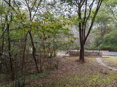 -南山风景名胜区