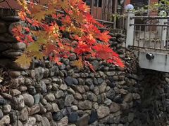 -丹东天桥沟景区