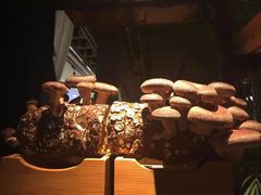 -大头椰·椰子鸡火锅(南宁万象城店)