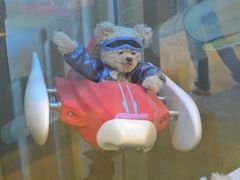 -济州岛泰迪熊博物馆