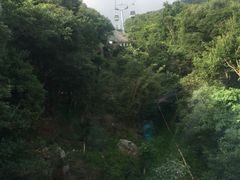 -普陀山风景区-佛顶山