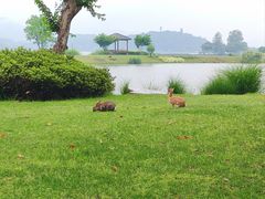 -池州市平天湖风景区