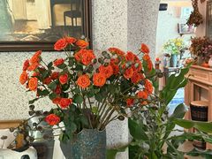 -绿房子方寸咖啡(星海名城店)