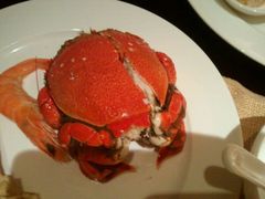 android_upload_pic-AdD全日制餐厅(中谷花园酒店)