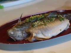 -钟菜·粤菜点心·宴请(海上世界·汇港二期店)