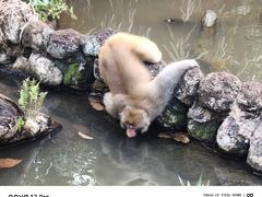 -海南热带野生动植物园