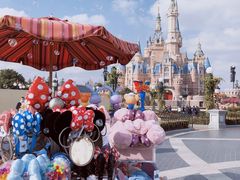 -上海迪士尼度假区