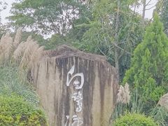 -白鹭湾湿地公园